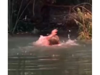 How Is Digital Marketing Related to Swimming?