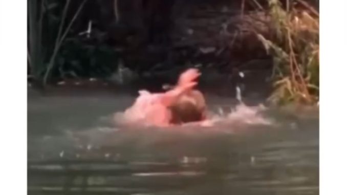 How Is Digital Marketing Related to Swimming?